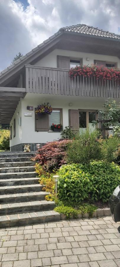Apartma - Pocitniska Hisa Lodi Bohinj Ngoại thất bức ảnh